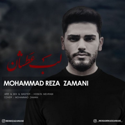 دانلود آهنگ لب عطشان محمدرضا زمانی